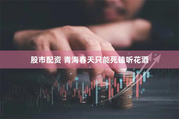 股市配资 青海春天只能死磕听花酒