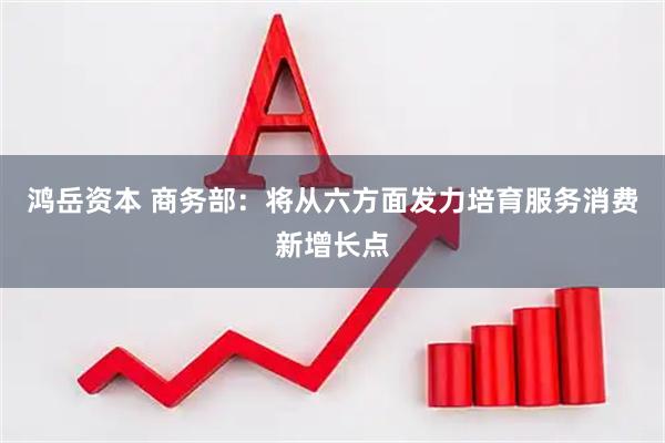 鸿岳资本 商务部：将从六方面发力培育服务消费新增长点