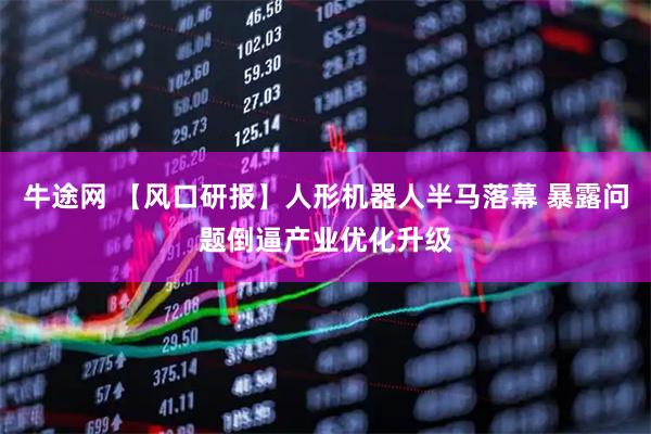 牛途网 【风口研报】人形机器人半马落幕 暴露问题倒逼产业优化升级