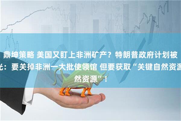 鼎坤策略 美国又盯上非洲矿产？特朗普政府计划被曝光：要关掉非洲一大批使领馆 但要获取“关键自然资源”！