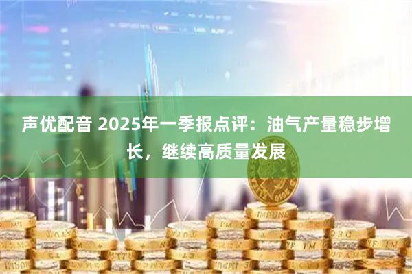 声优配音 2025年一季报点评：油气产量稳步增长，继续高质量发展