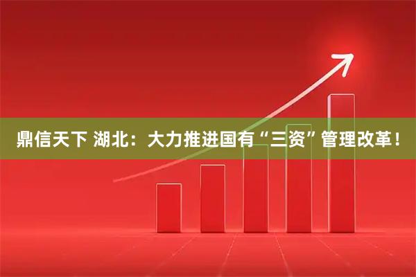 鼎信天下 湖北：大力推进国有“三资”管理改革！