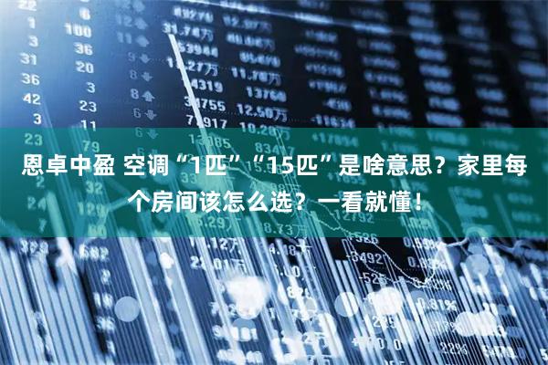 恩卓中盈 空调“1匹”“15匹”是啥意思？家里每个房间该怎么选？一看就懂！