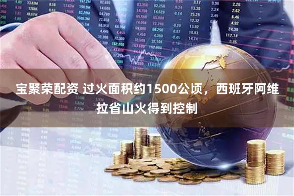 宝聚荣配资 过火面积约1500公顷，西班牙阿维拉省山火得到控制